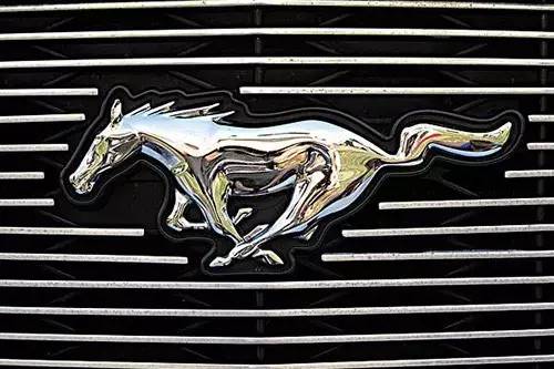 車標上的動物都是啥來頭？看完又能出去裝X了