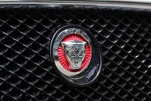 車標上的動物都是啥來頭？看完又能出去裝X了