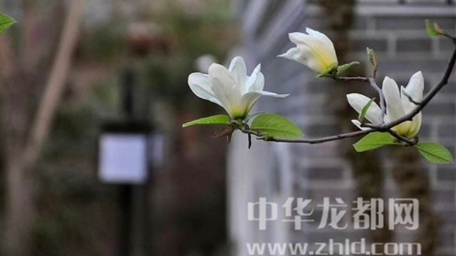 淮陽(yáng)蓮舍，多了一份味道