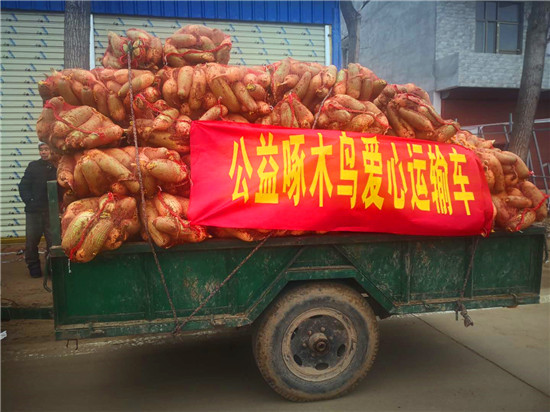 ＂愛心蘿卜＂來了！